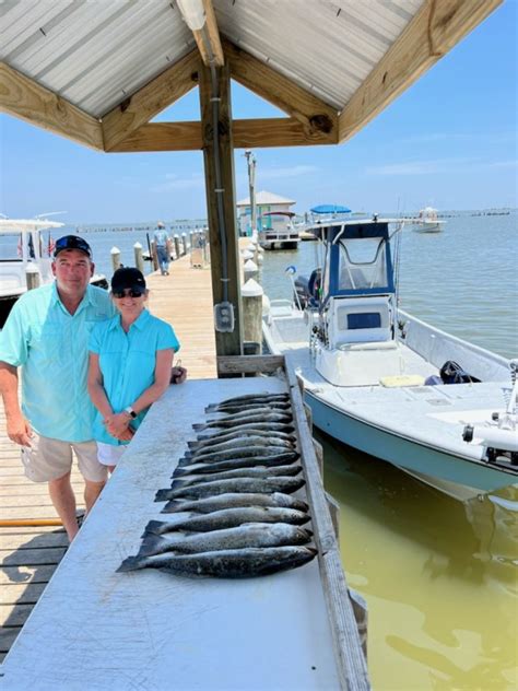 fishing on dauphin island|dauphin island fishing report 2022.